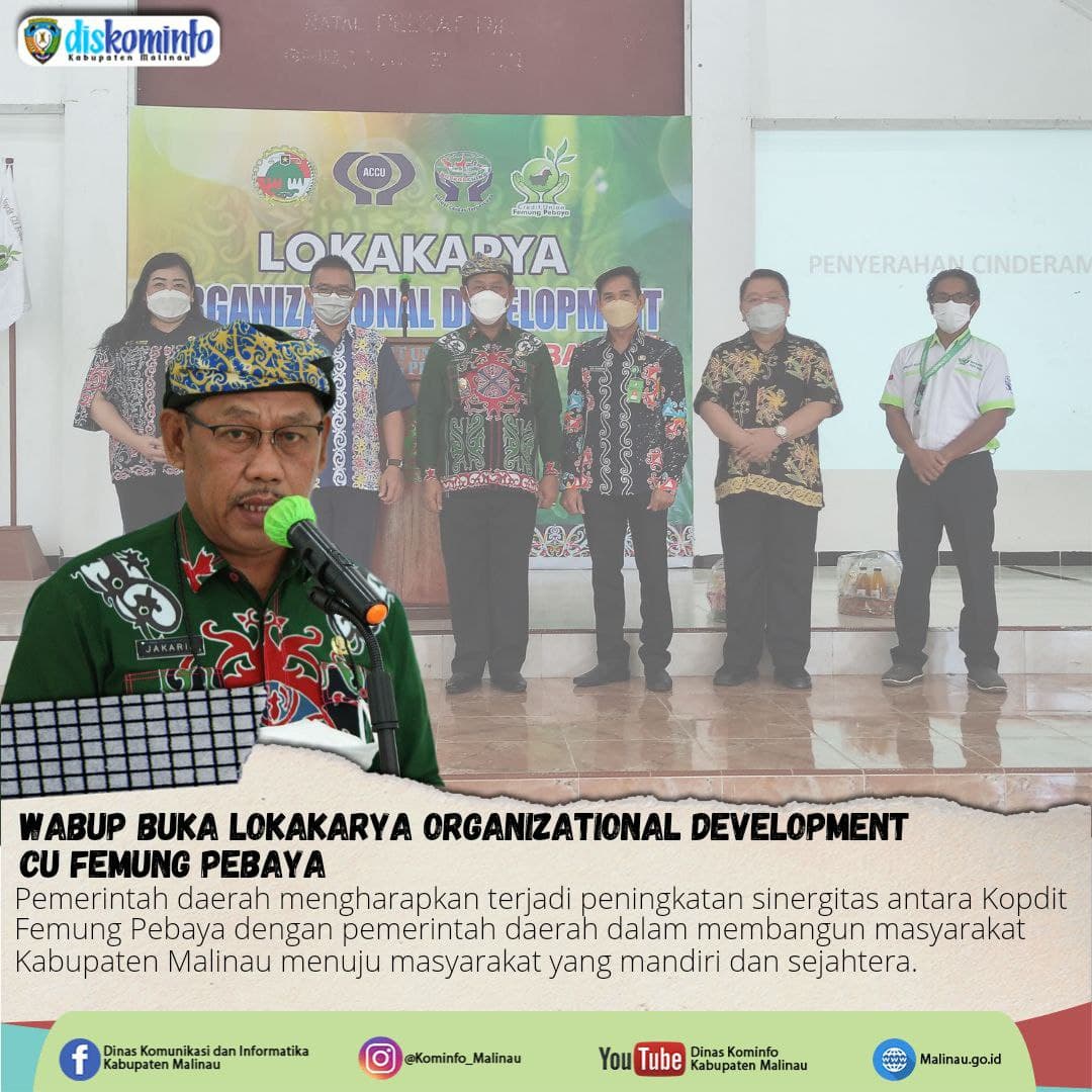 Wabup Buka Lokakarya Organizational Development CU Femung Pebaya main image
