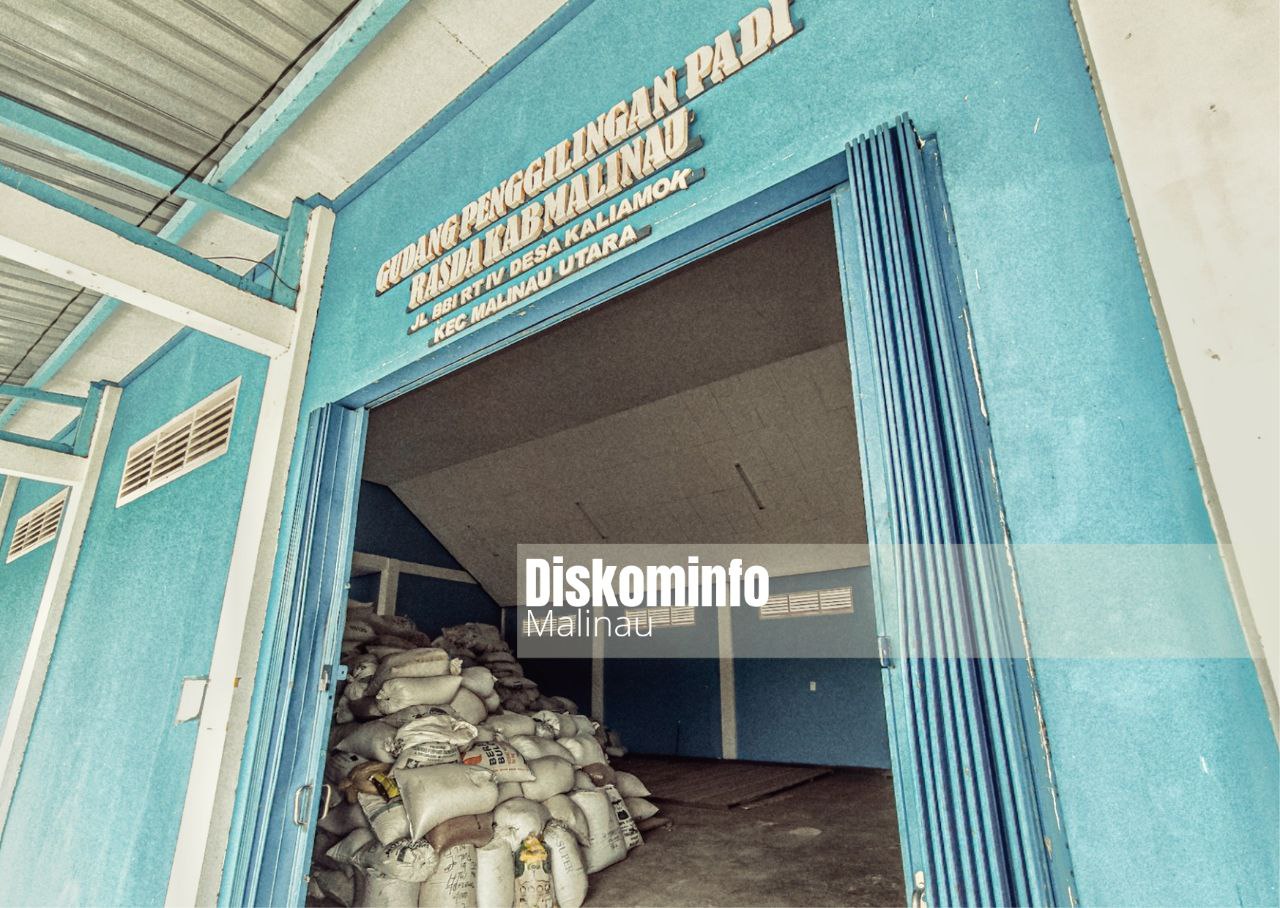 Musim Panen, Bupati Tinjau Gudang Penggilingan Padi Rasda image 2