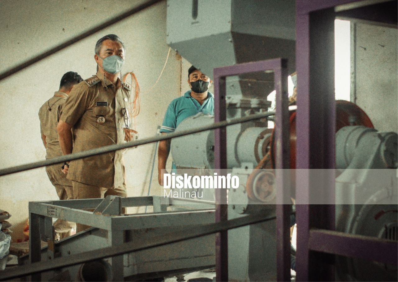 Musim Panen, Bupati Tinjau Gudang Penggilingan Padi Rasda image 3