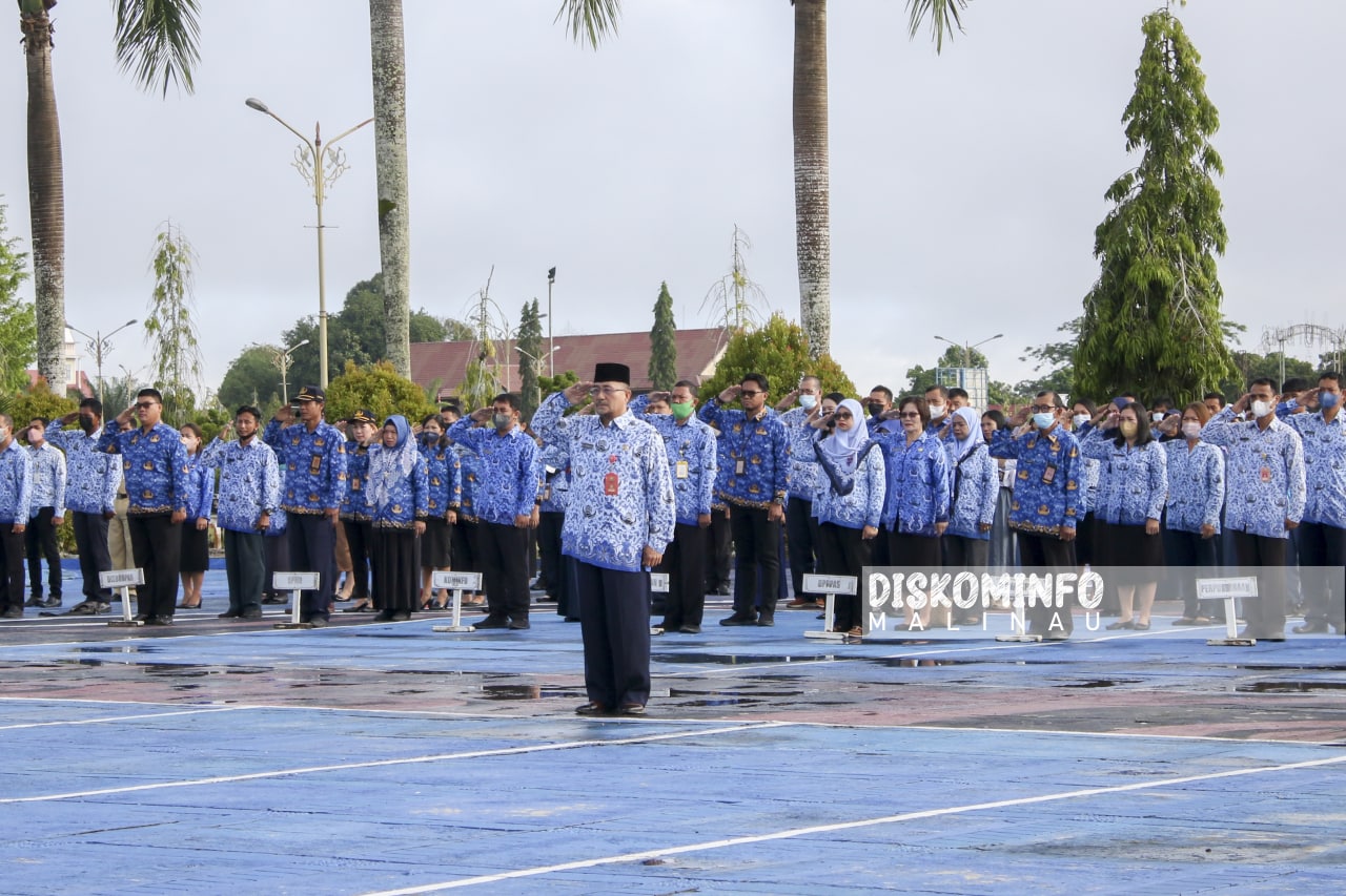 Bupati Pimpin Apel Gabungan Korpri image 3