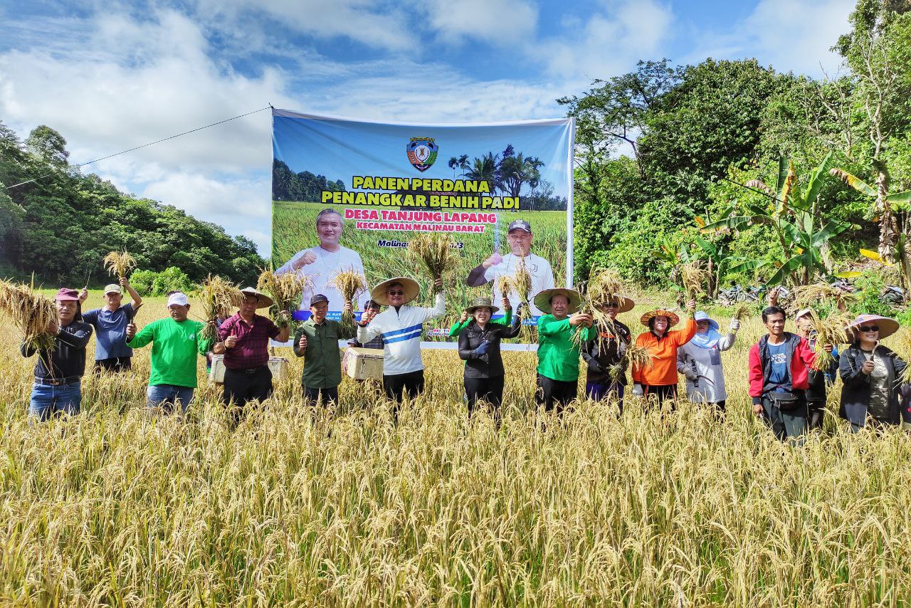 Bupati Panen Perdana Penangkar Benih Padi image 3