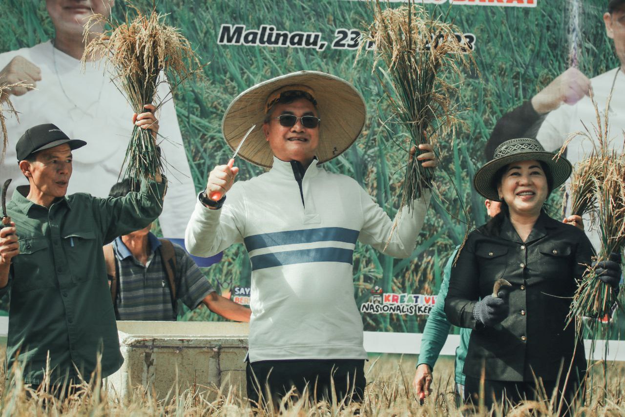 Bupati Panen Perdana Penangkar Benih Padi image 2