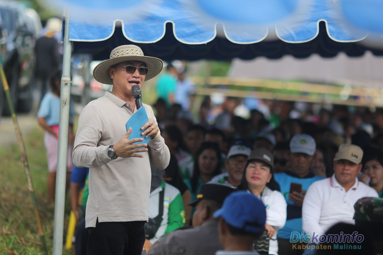 Bupati Panen Padi Bersama Di Desa Respen Tubu image 2