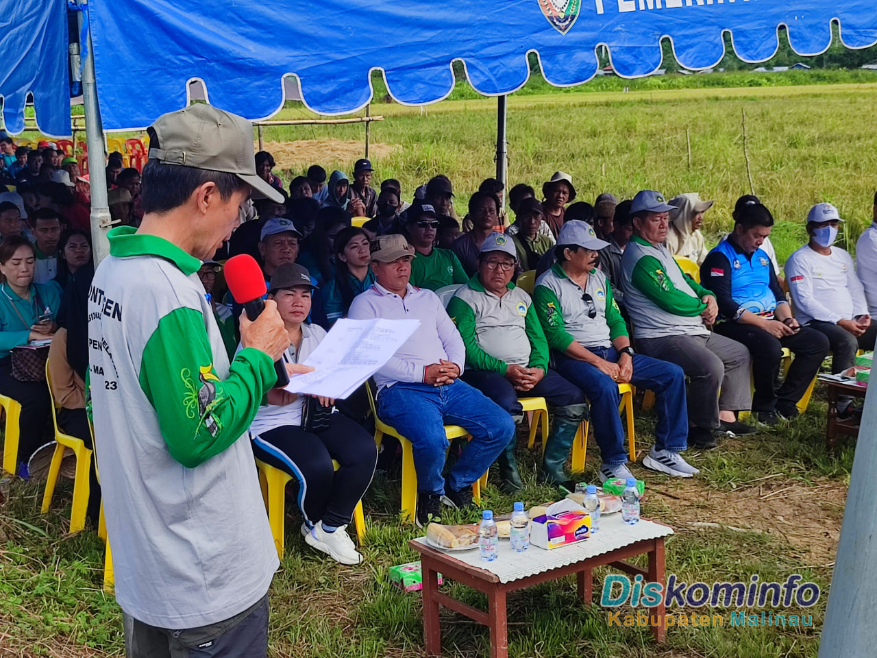 Bupati Panen Padi Bersama Di Desa Respen Tubu image 3