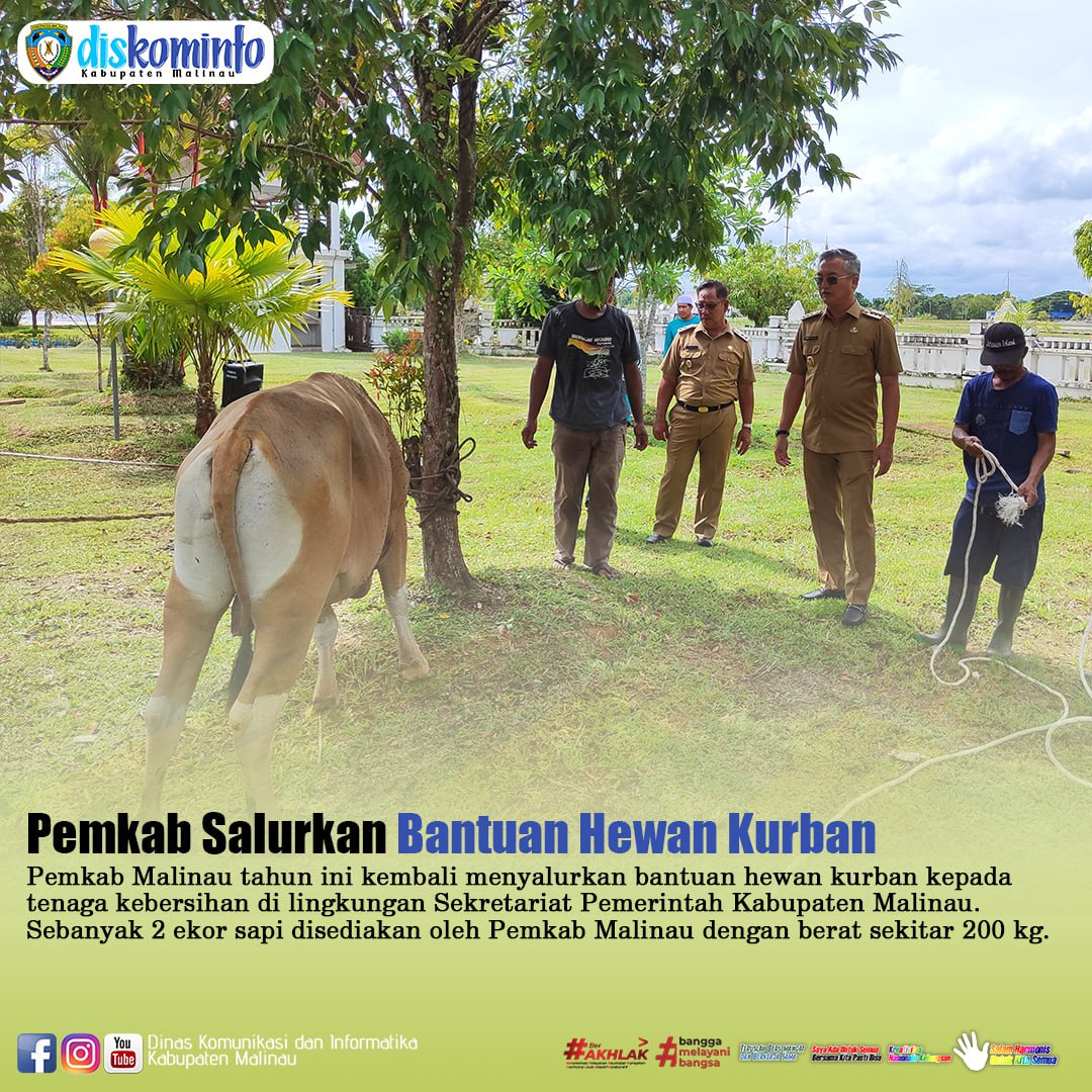 Pemkab Salurkan Bantuan Hewan Kurban main image