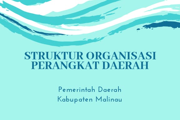 Struktur Organisasi Perangkat Daerah