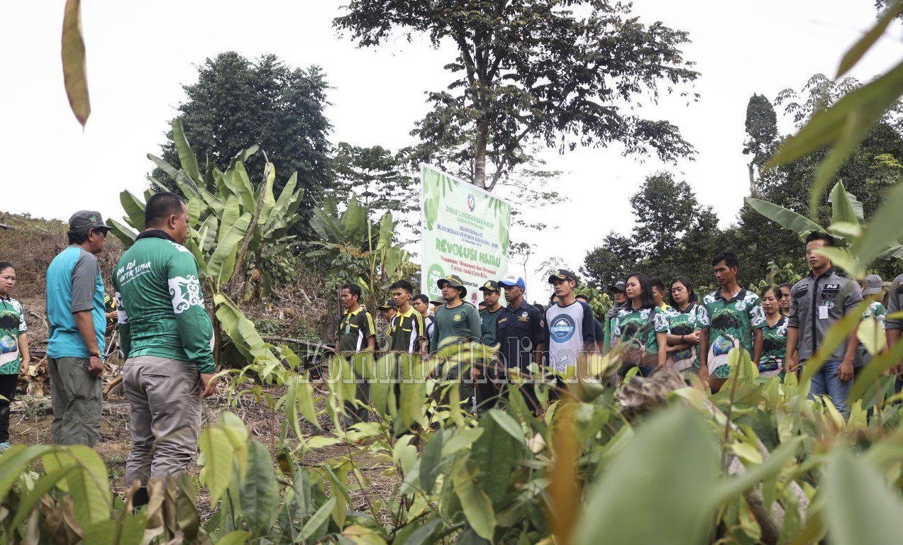 Peringati Hari Menanam Pohon Indonesia, DLH Tanam 1.200 Bibit Pohon