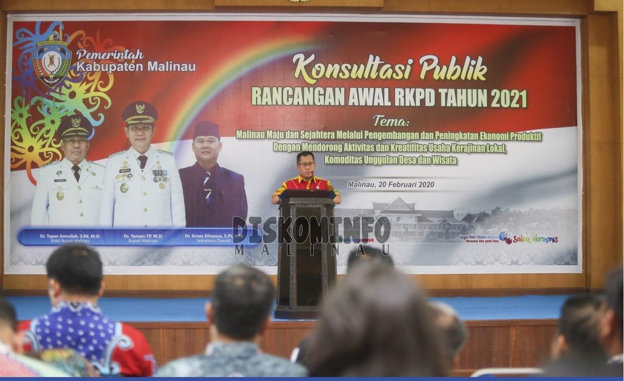 Wakil Bupati Malinau Buka Kegiatan Konsultasi Publik RKPD Tahun 2021