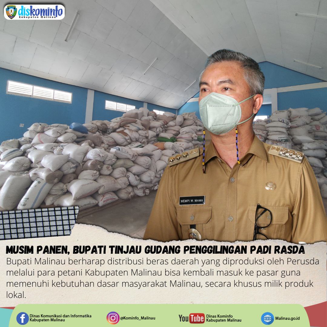 Musim Panen, Bupati Tinjau Gudang Penggilingan Padi Rasda