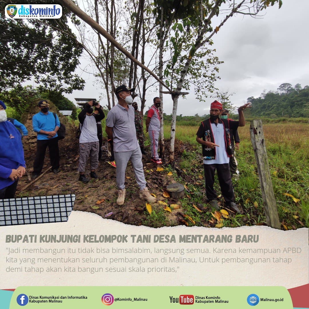 Bupati Kunjungi Kelompok Tani Desa Mentarang Baru