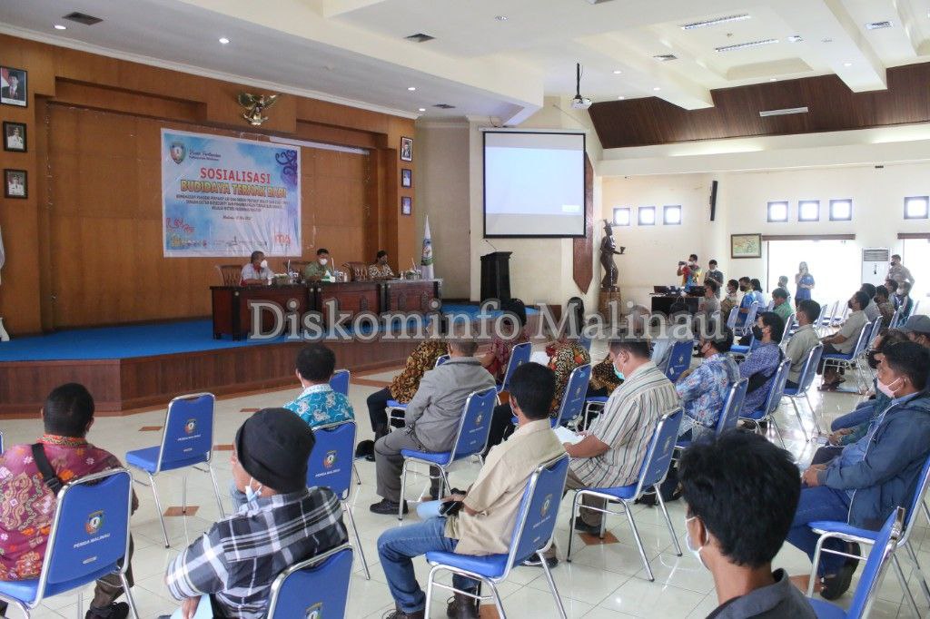 Dinas Pertanian Selenggarakan Sosialisasi Budidaya Ternak Babi