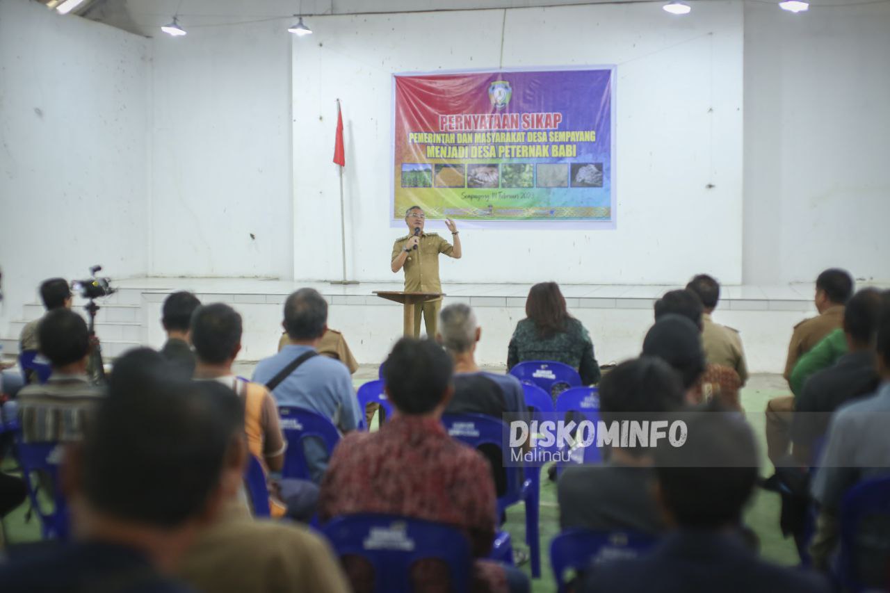 Tetapkan Desa Peternak Babi, Bupati : Ini Bisa Jadi Model Usaha Percontohan