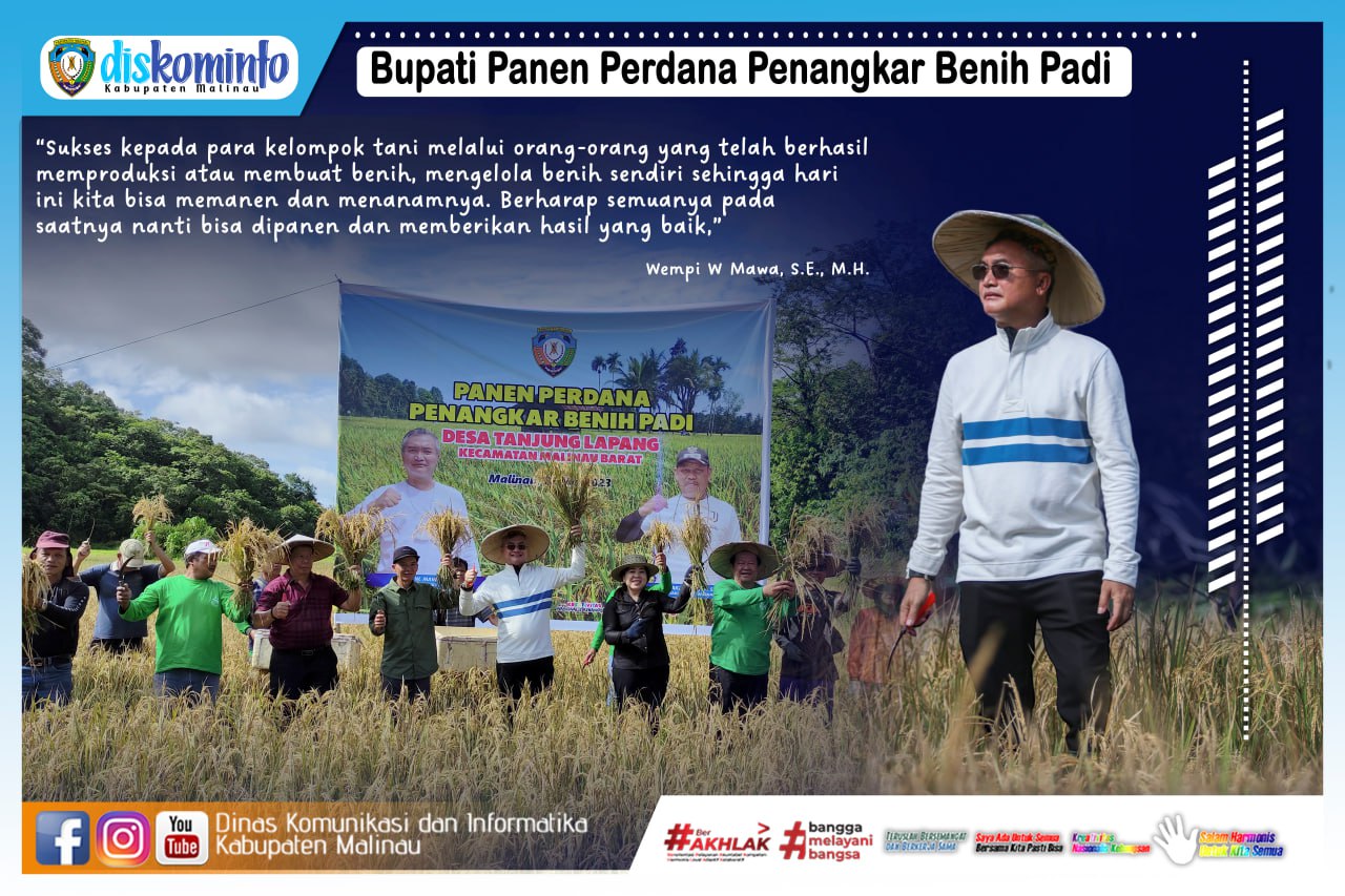 Bupati Panen Perdana Penangkar Benih Padi