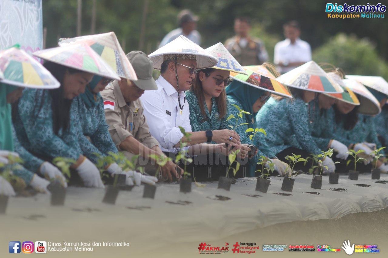 Hadiri Gerakan Tanam Cabai Oleh PKK, Bupati Ajak Semua Ikut Serta
