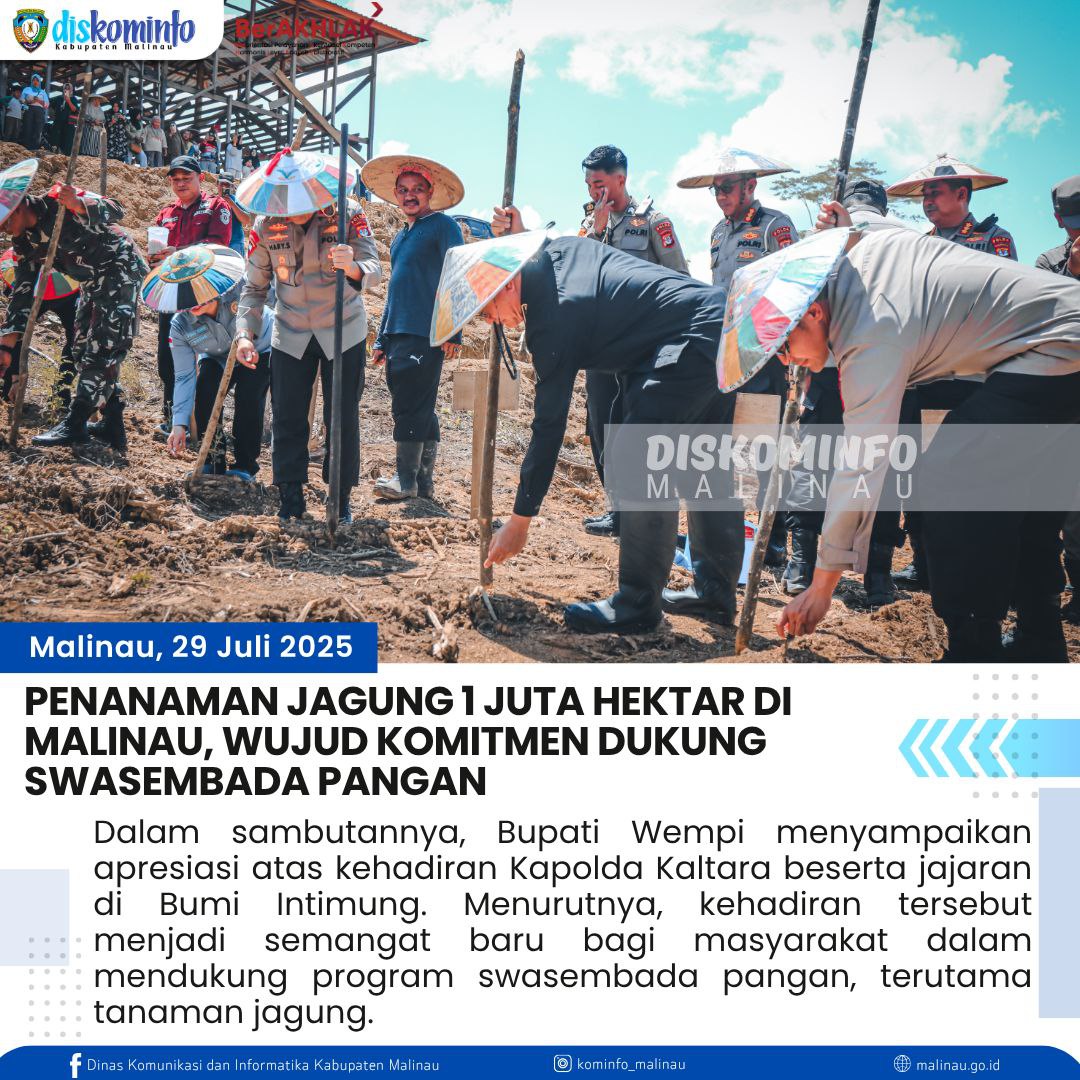 Penanaman Jagung 1 Juta Hektar di Malinau, Wujud Komitmen Dukung Swasembada Pangan