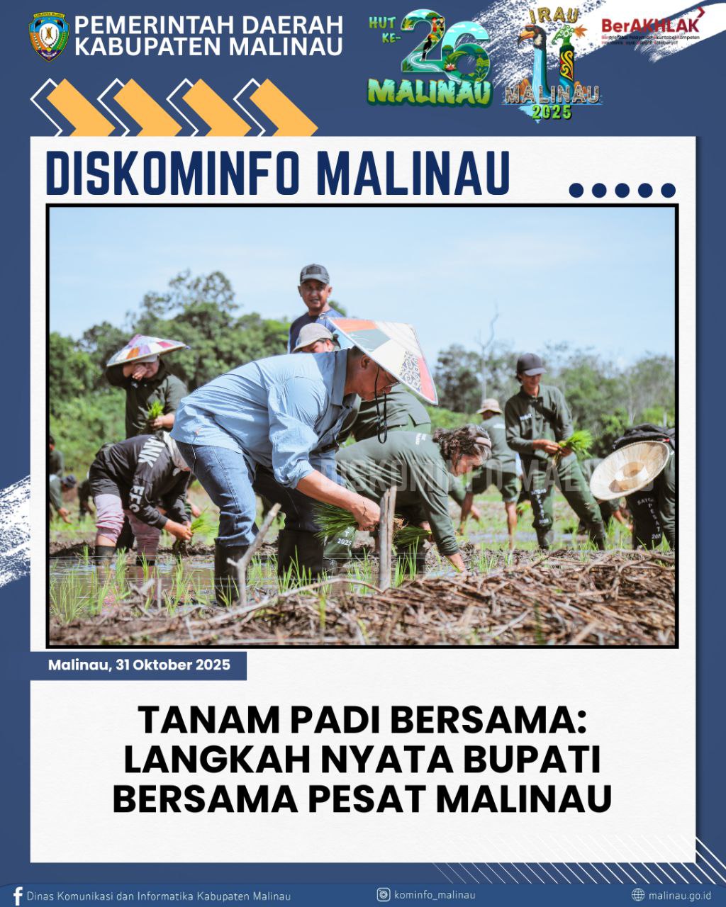 Tanam Padi Bersama: Langkah Nyata Bupati Bersama PESAT Malinau
