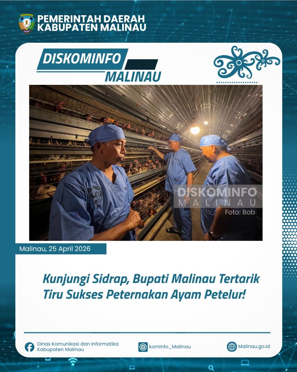 Kunjungi Sidrap, Bupati Malinau Tertarik Tiru Sukses Peternakan Ayam Petelur!