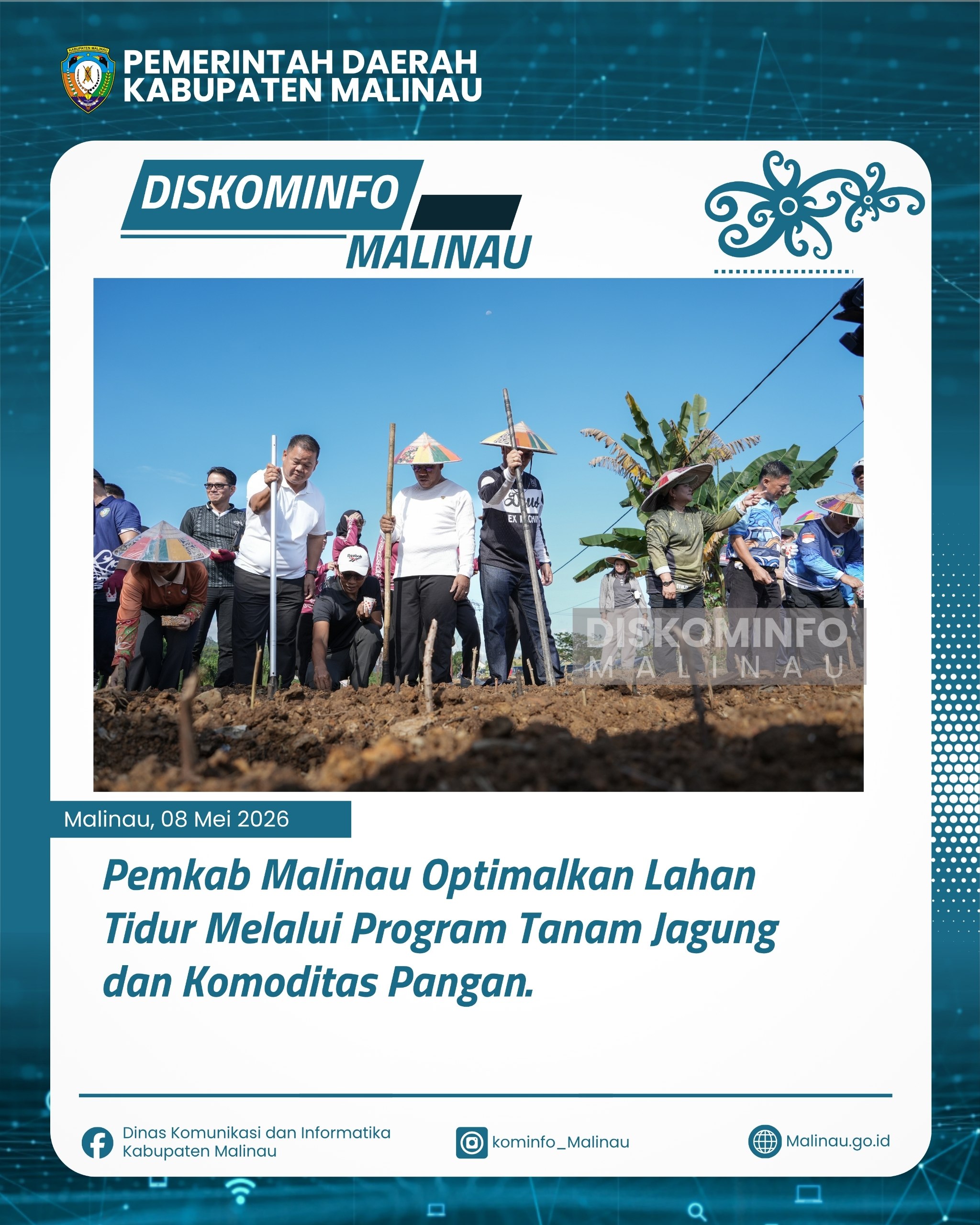 Pemkab Malinau Optimalkan Lahan Tidur Melalui Program Tanam Jagung dan Komoditas Pangan