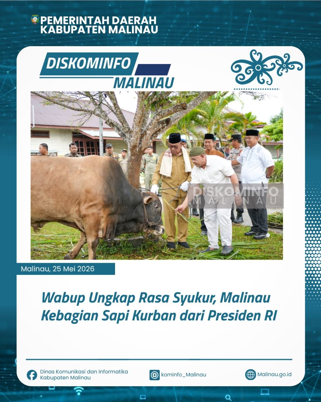 Wabup Ungkap Rasa Syukur, Malinau Kebagian Sapi Kurban dari Presiden RI
