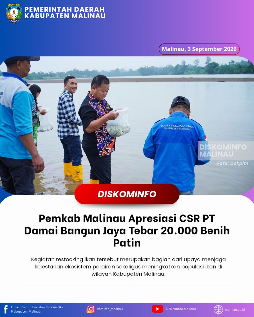 Pemkab Malinau Apresiasi CSR PT Damai Bangun Jaya Tebar 20.000 Benih Patin