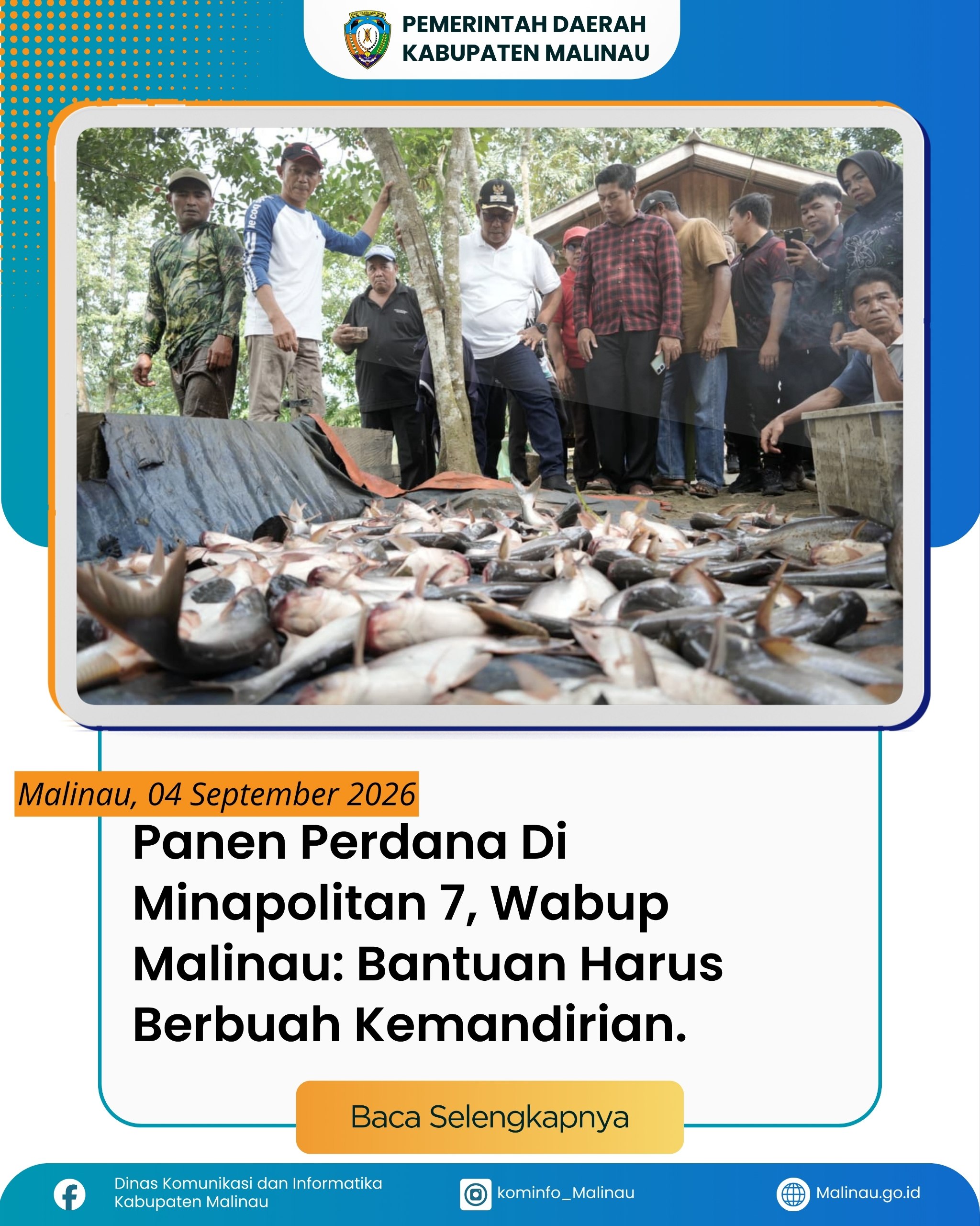 Panen Perdana Di Minapolitan 7, Wabup Malinau: Bantuan Harus Berbuah Kemandirian